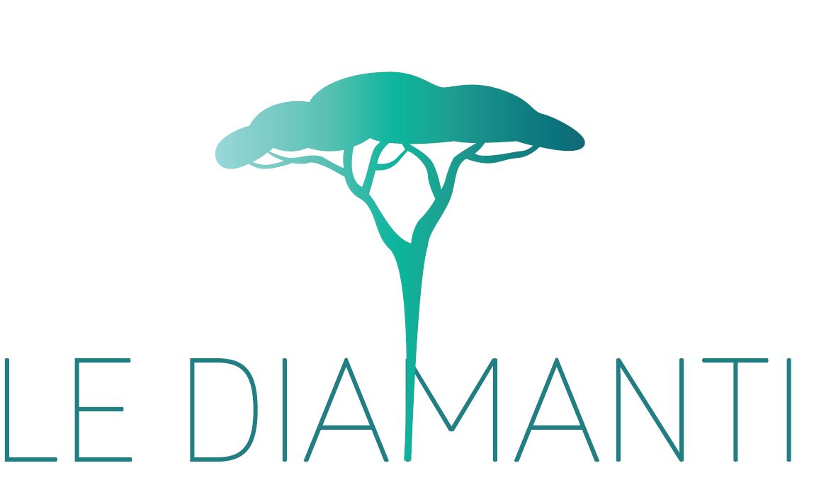logo programme